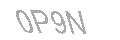Güvenlik Kodu