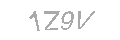 Güvenlik Kodu
