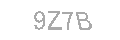 Güvenlik Kodu