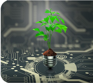 Holding to Our Roots Through Technology