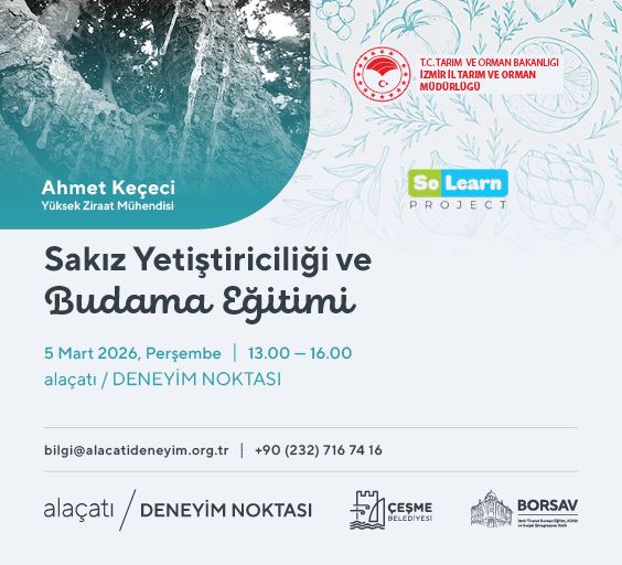 Sakız Ağacı Yetiştiriciliği ve Budama Eğitimi