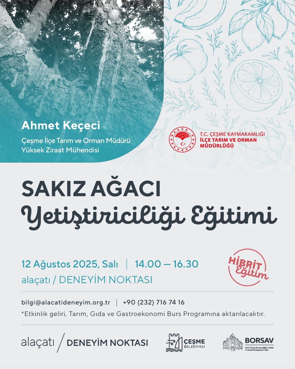 Sakız Ağacı Yetiştiriciliği Eğitimi