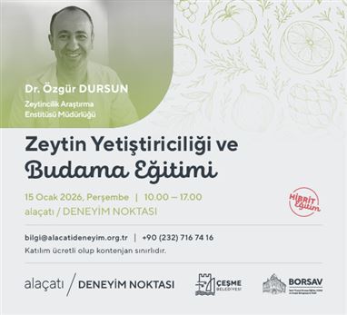 Zeytin Yetiştiriciliği ve Budama Eğitimi